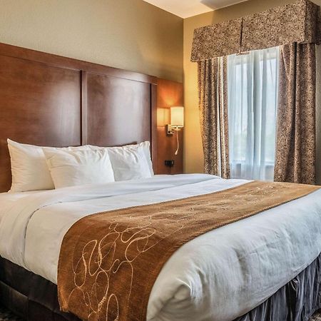 Comfort Suites Near Texas State University San Marcos Exteriör bild