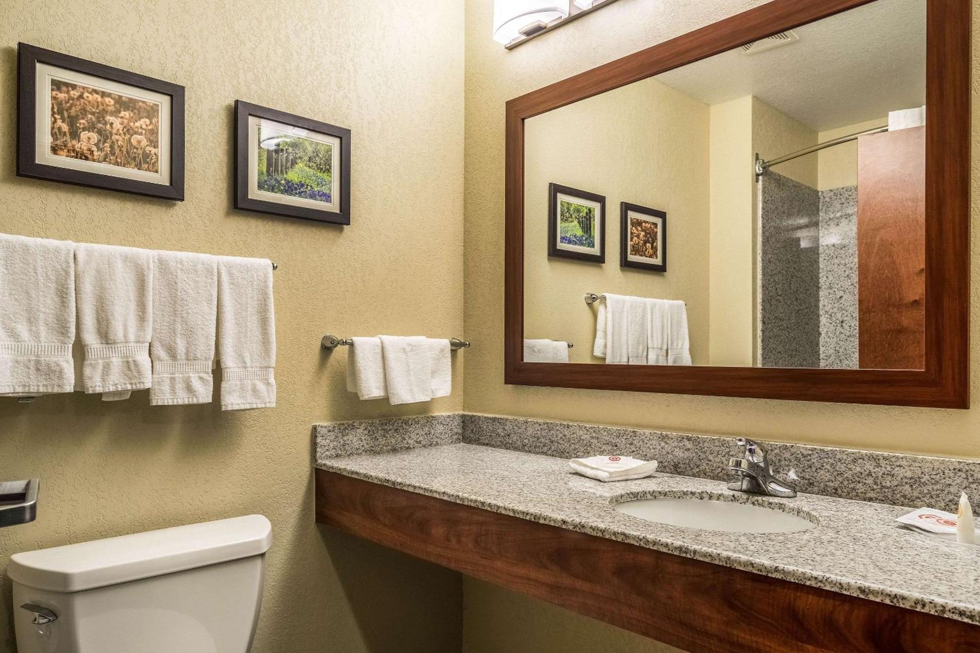 Comfort Suites Near Texas State University San Marcos Exteriör bild